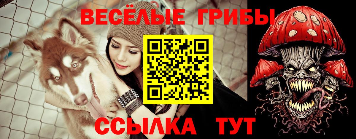 Псилоцибиновые грибы прущие грибы Черняховск